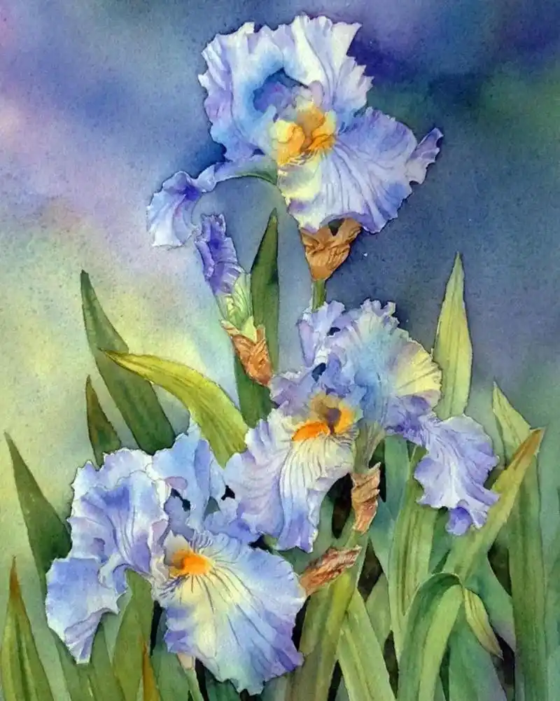 太绝了!20年画龄的水彩老师笔下的美丽花卉,张张精品