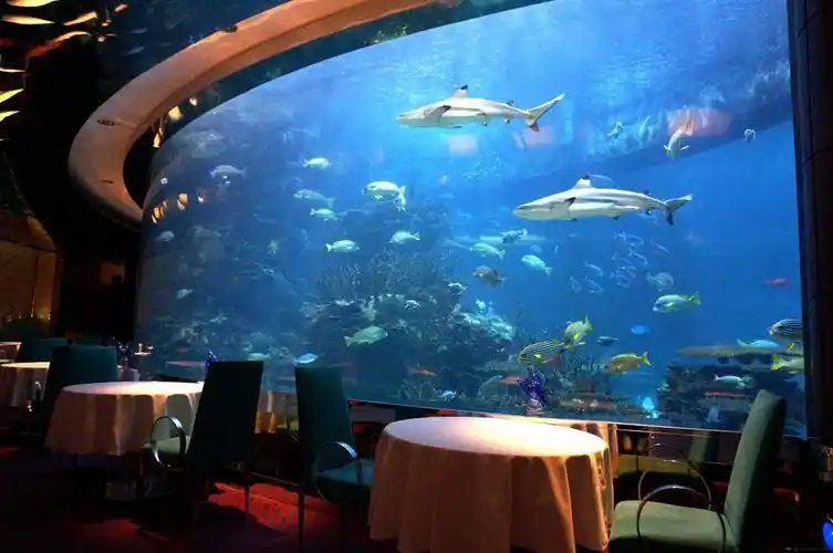 十星级的迪拜水下酒店2