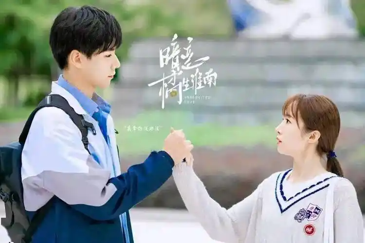 《转角遇见爱》《暗恋·橘生淮南》《盛夏未来》"以后我想在这里结婚