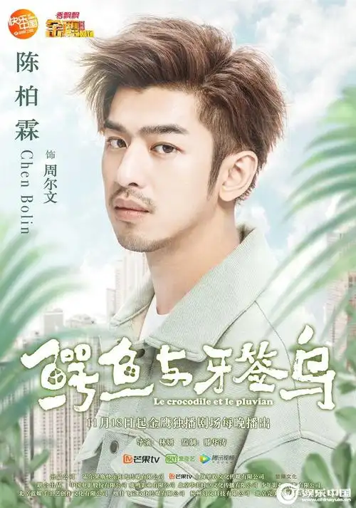 《鳄鱼与牙签鸟》陈柏霖化身暖心"大鳄鱼" 张天爱表白男神掀热议