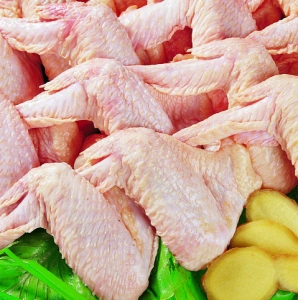 冷冻鸡全翅进口鸡全翅批发