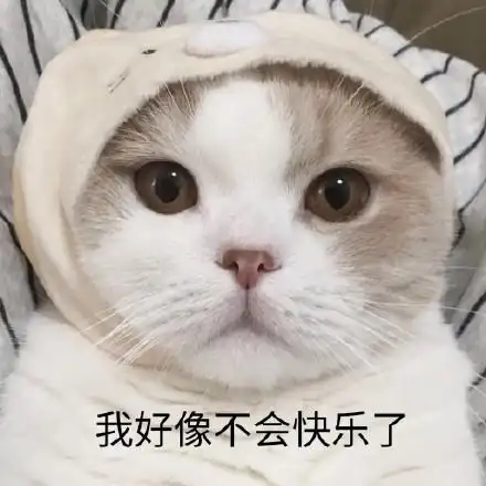 我好像不会快乐了(猫咪表情包)_猫咪_快乐_好像_不会表情