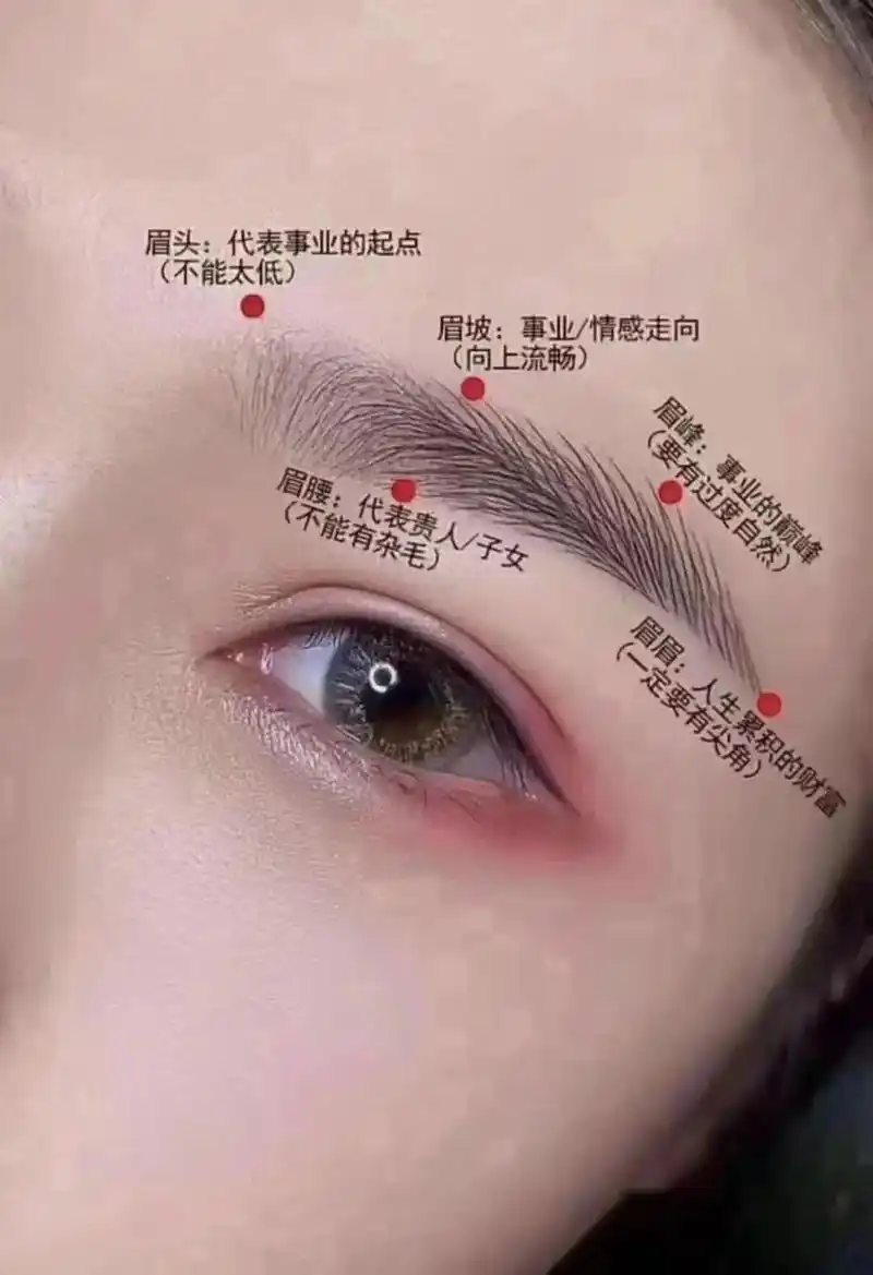 8215眉毛的风水99:相学说7114: 修眉修心,改眉改运, 眉