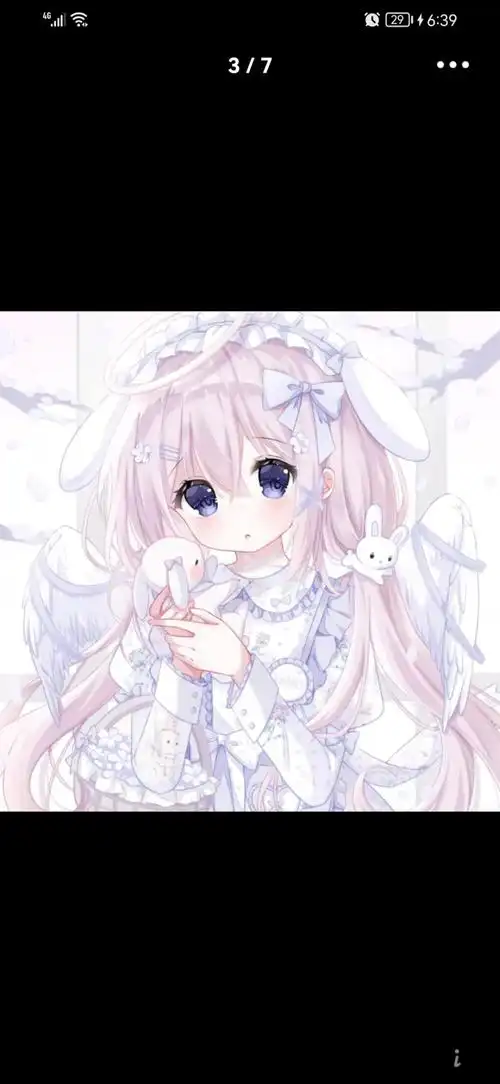 美丽的兔子永远是一个人