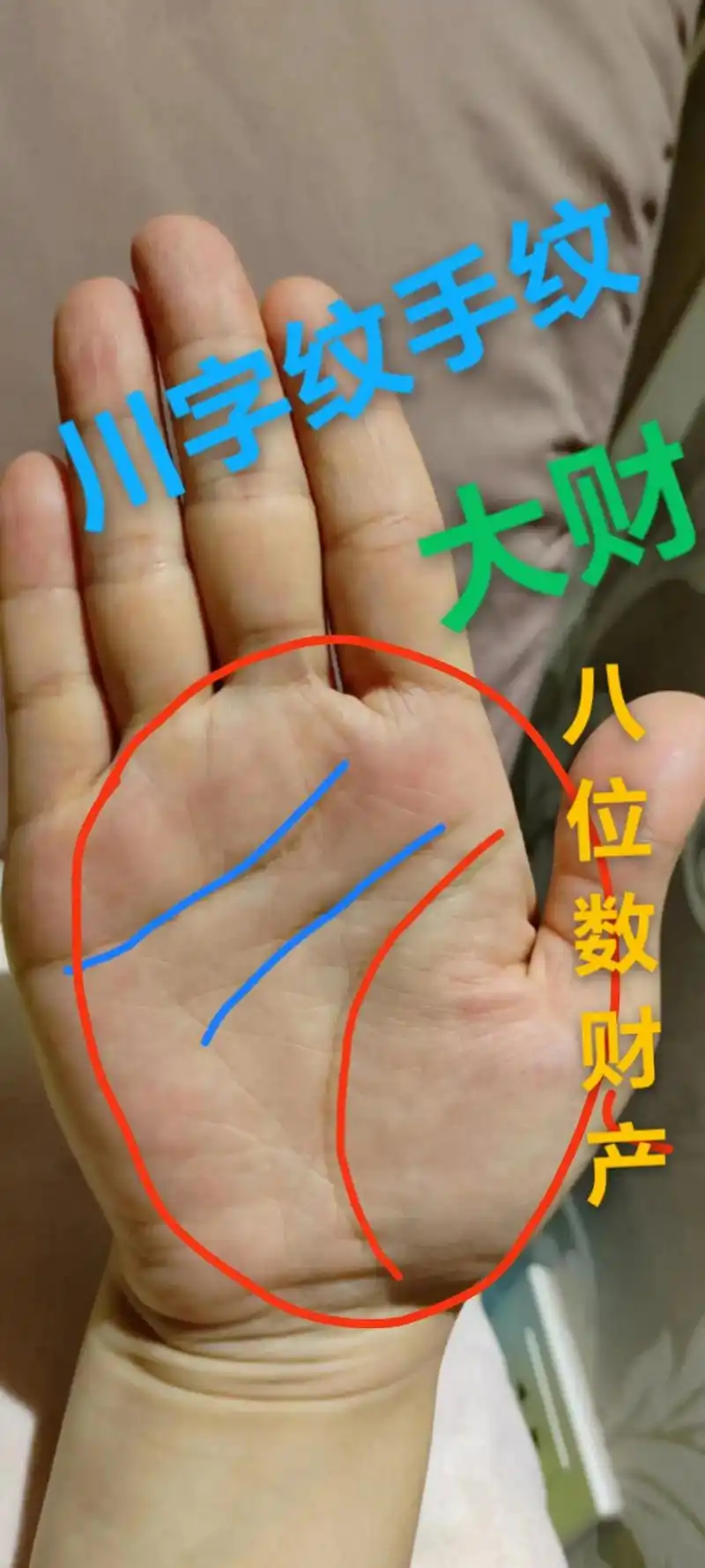川字纹 #掌纹 #暴富 #测一测你是哪种手型 #旺夫女人  - 抖音