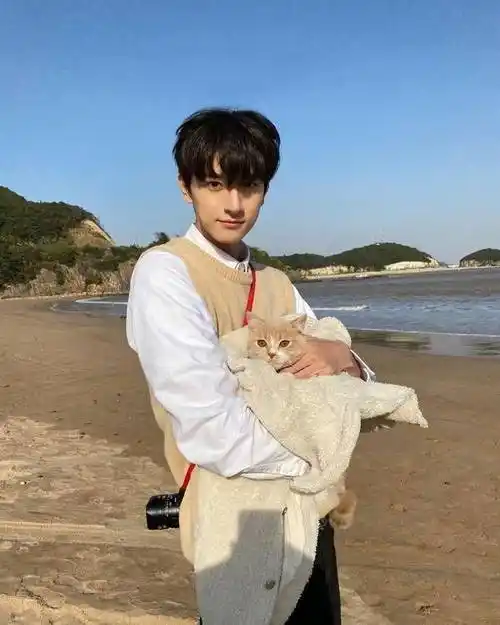 原创别对我动心林一的10件事看似高冷却是超级猫奴和seventeen成员交