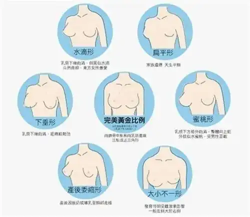 真人体验:胸都跑下边去了!