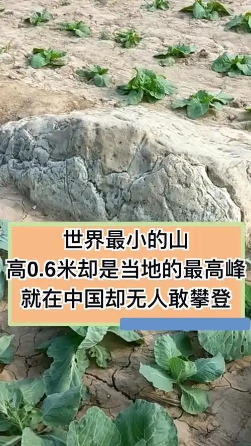 世界上最小的山在中国无人敢攀爬