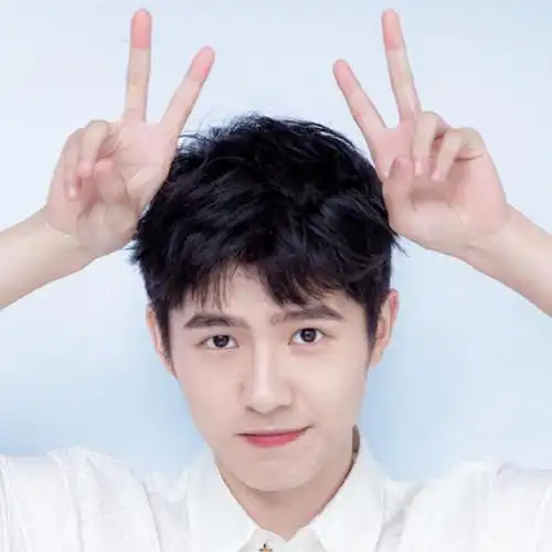 刘昊然头像合集‖"萧萧肃肃,爽朗清举"