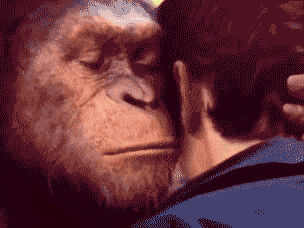 304_228gif 动态图 动图