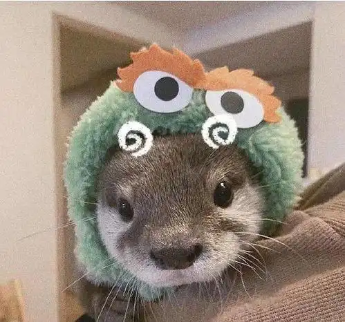 动物可爱头像高清图片 - 搜狗图片搜索