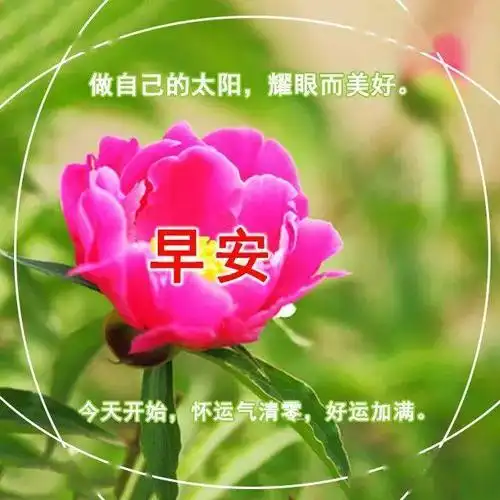 早安动态图片大全漂亮 早安祝福语最温馨的话_问候