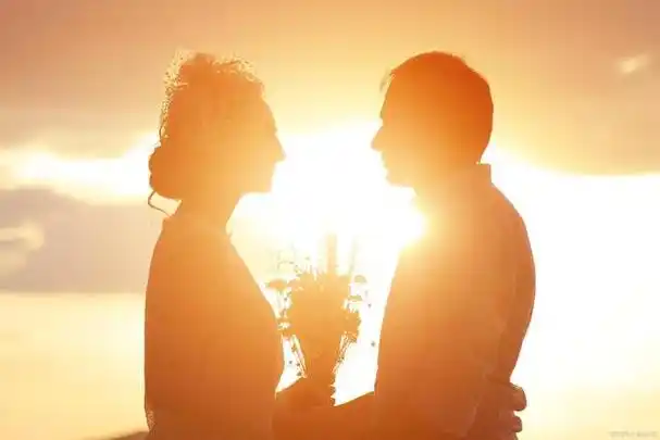 婚姻应该是幸福的样子,而不是为了繁衍后代或者其他的原因凑合在一起.