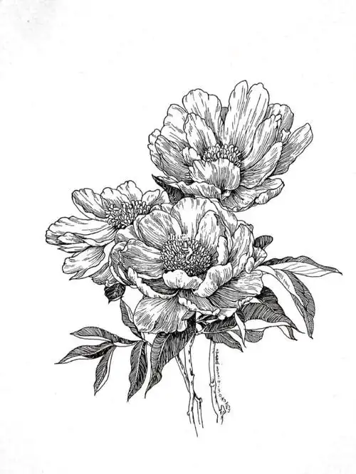 线描花卉送你一束花花