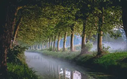 世界上最美的风景就是大自然的风景壁纸图片