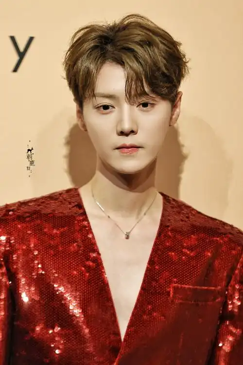 鹿晗红色真空西装