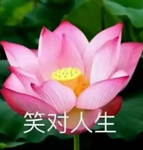 为什么中老年人的头像都是风景?_腾讯新闻