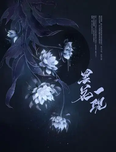 古风插画-昙花一现