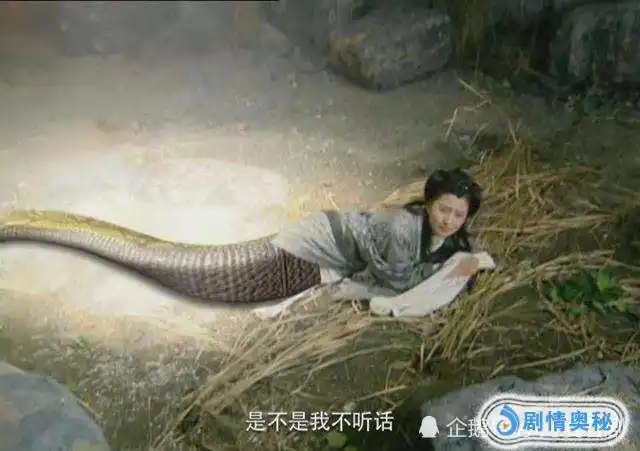 赵灵儿:我怀孕后露蛇尾,独孤宁珂:我怀孕后魔性失控,她:退下