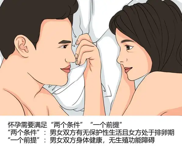 男女怎么怀孕