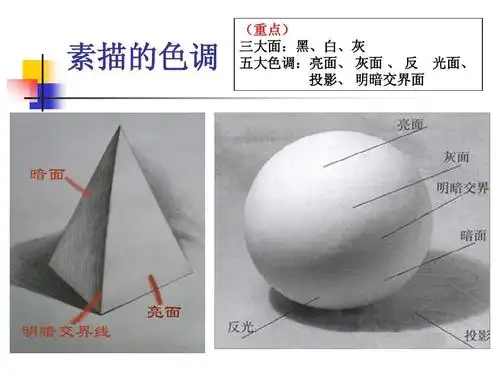 1.4 静物素描的入门ppt_word文档在线阅读与下载_无忧文档