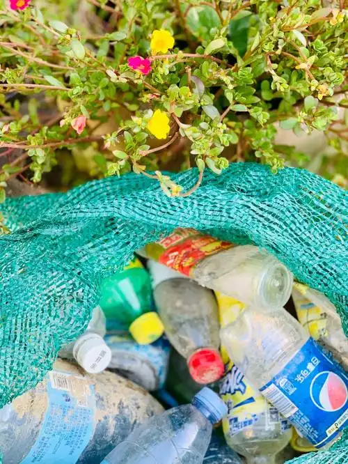 乡下生活的好处之一是可以更方便的垃圾分类,平常生活产生的塑料瓶