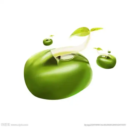 绿豆手绘效果图图片