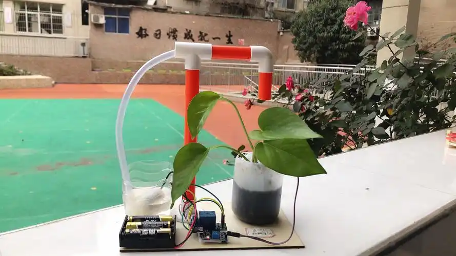 奇思妙想小发明 香樟少年科技梦