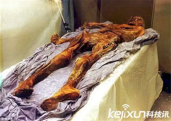 皇冠网博娱乐城_福 彩 d麦 试机号今天- 怎么联系果博东方娱乐