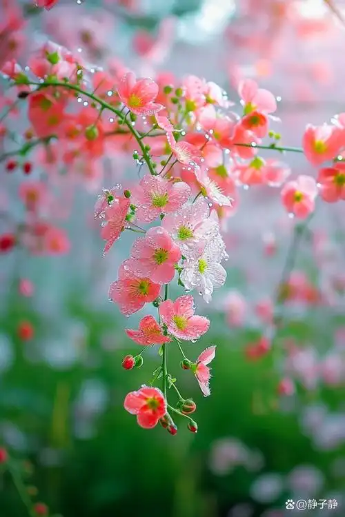 它的美丽动人,仿佛是大自然最精美的杰作,让人们不禁为之惊叹