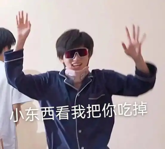 宋亚轩表情包⑧