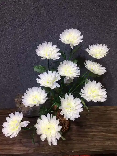 因为24谐音是哀思清明祭扫常选白色黄色的菊花黄菊花代表思念,白菊花