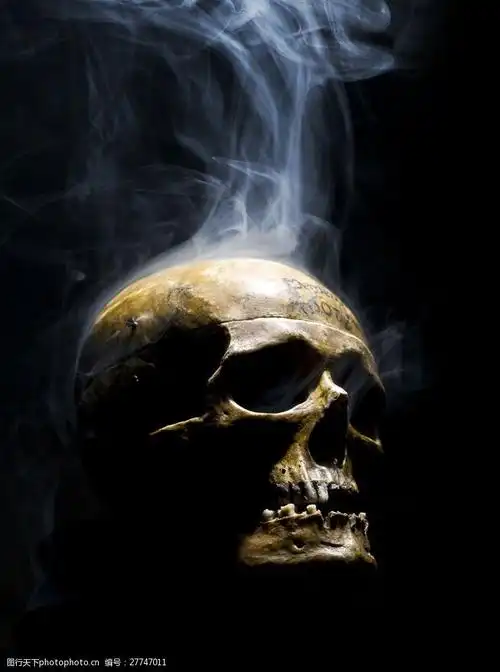 冒烟的骷髅头图片