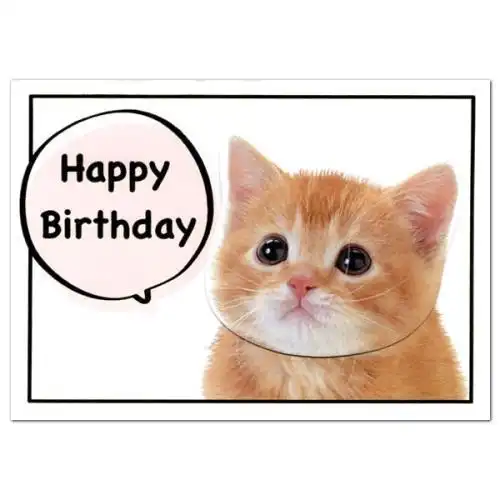 自己的生日祝福语,自己生日祝福语简短精辟(生日快乐表情包猫咪图片版