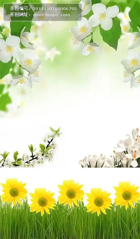 淡雅花朵背景高清图片素材