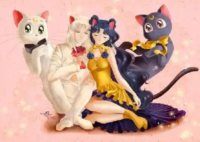 美少女战士和她的猫