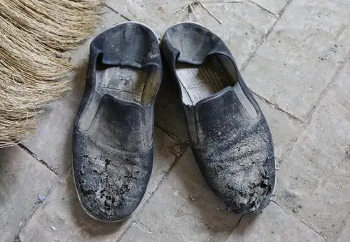 安徽女孩嫁到山东农村夫妻一天挣1000多元靠勤劳生活奔小康