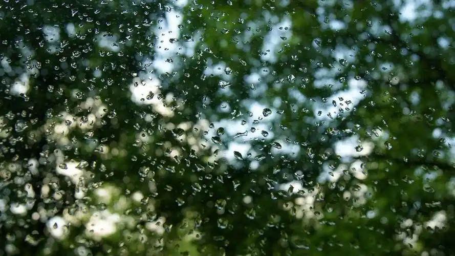 清新夏天的雨壁纸高清原图查看710
