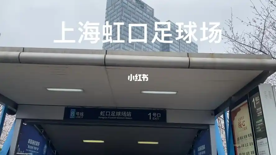 上海免费樱花拍摄地虹口足球场