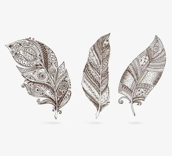 抽象羽毛免抠素材免费下载_觅元素51yuansu.com