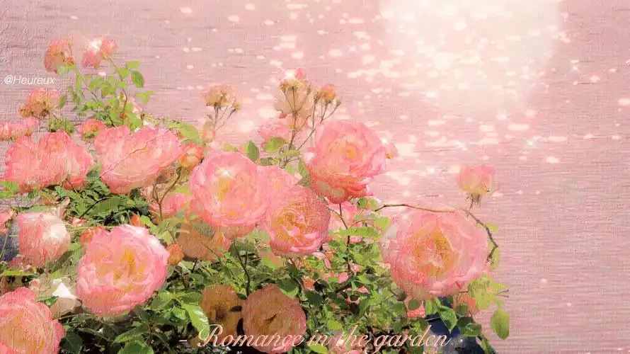 好看哭了(076103 03 6103`) … - 堆糖,美图壁纸兴趣社区