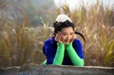 新《天龙八部》收官 毛晓彤演萌系钟灵获赞