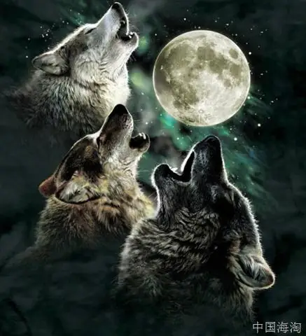 (超酷)themountain苍狼啸月3d图案t恤 three wolf moon short sleeve