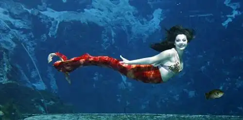 美国19岁女孩训练11年 变身"职业美人鱼"(图)