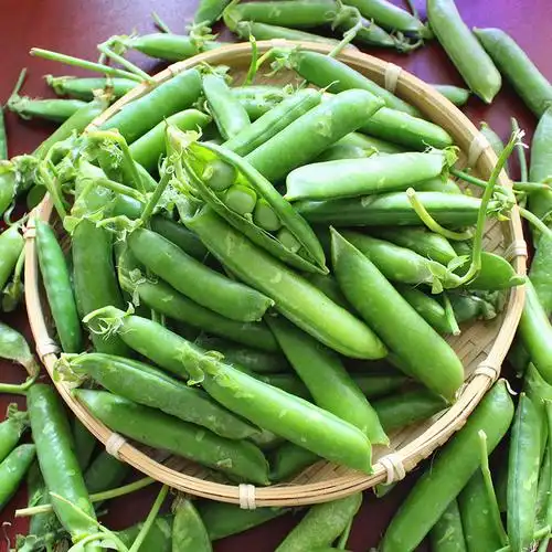 空运云南新鲜带壳甜豌豆荚 麦青豌豆角 农家蔬菜现发 3斤装包邮