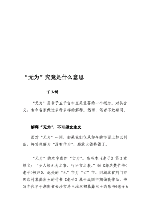 无为究竟是么意思.doc