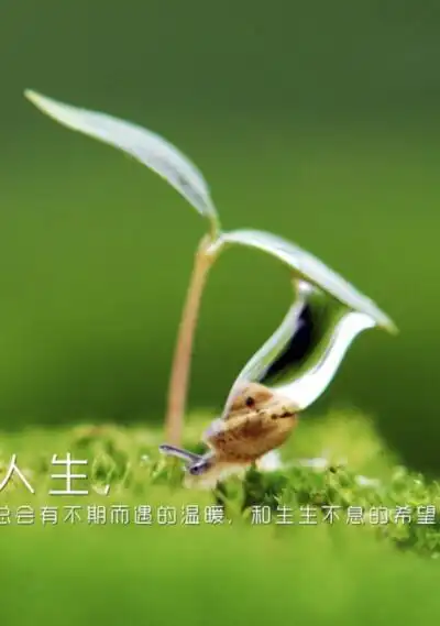 人生,总会熬出来的