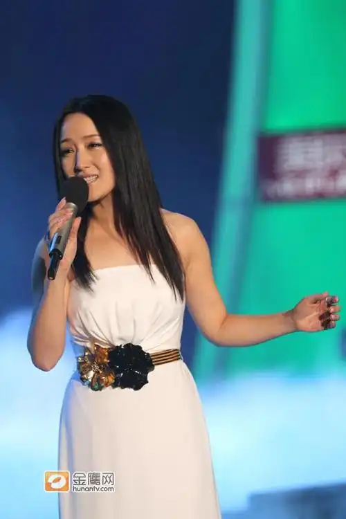 杨钰莹湖南春晚唱新歌 与毛宁重现金童玉女组合【6】