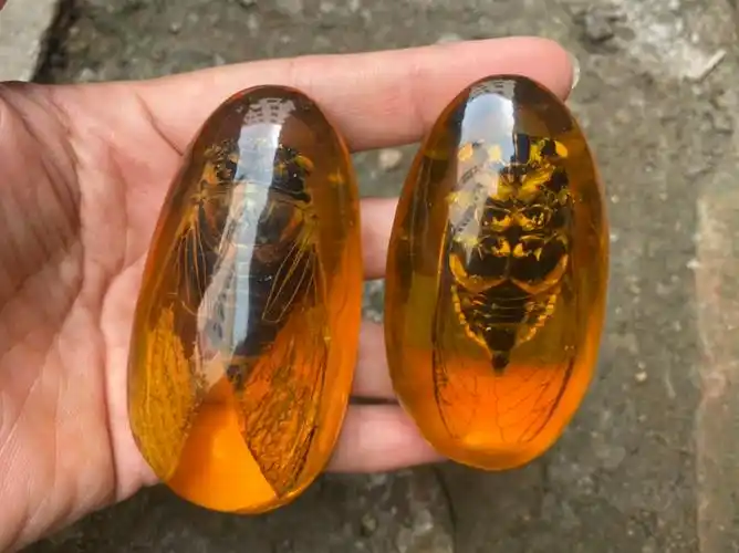 琥珀昆虫标本 人工琥珀真知了标本吊坠 文玩手把件昆虫琥珀蜜蜡大黄蜂