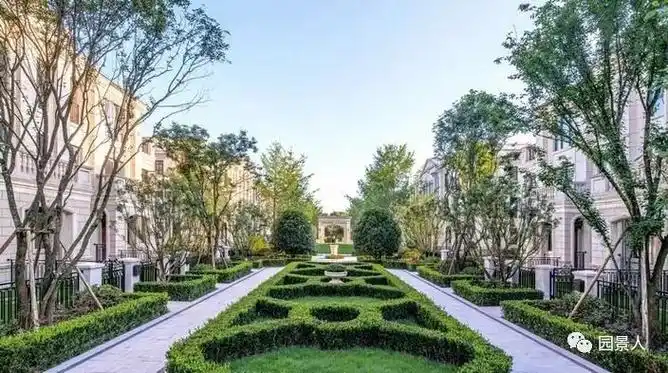 [分享]树阵景观·律动的规则